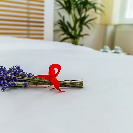 Victor Apartman
